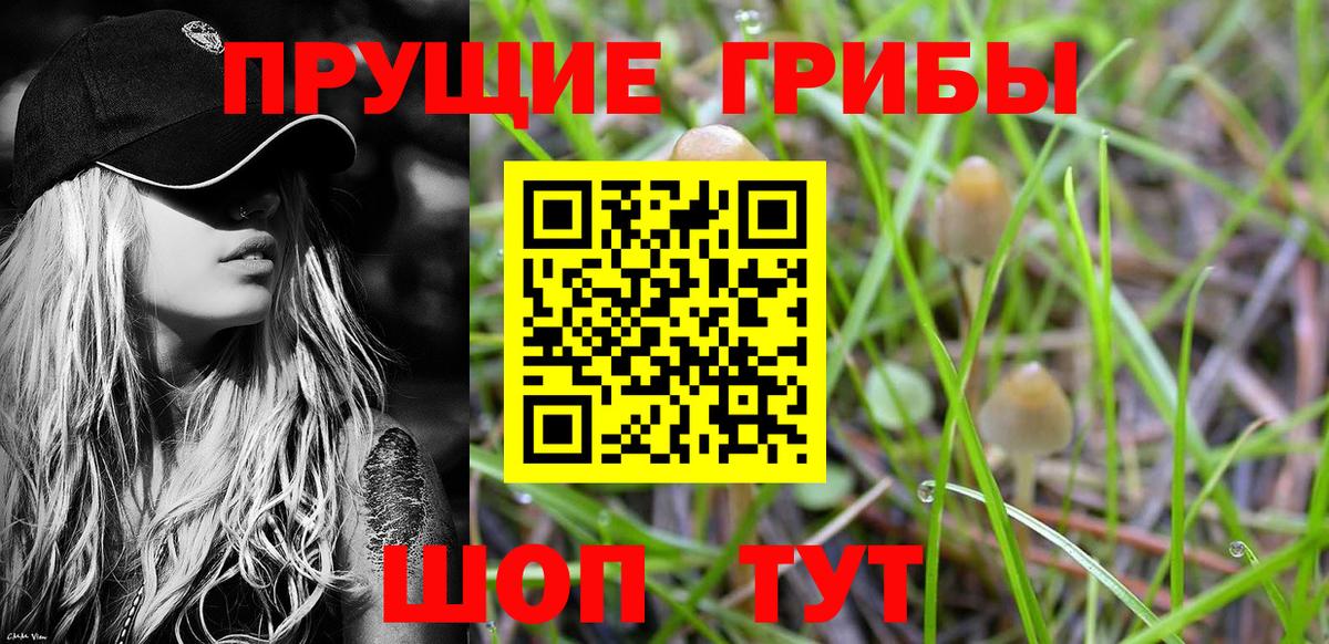 Галлюциногенные грибы Psilocybe Семёнов