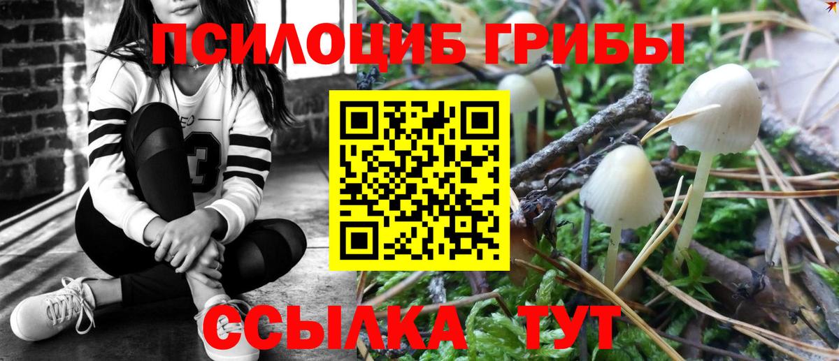 где можно купить наркотик  Галлюциногенные грибы Magic Shrooms  Вход с VPN  Псилоцибиновые грибы мухоморы  Семёнов 